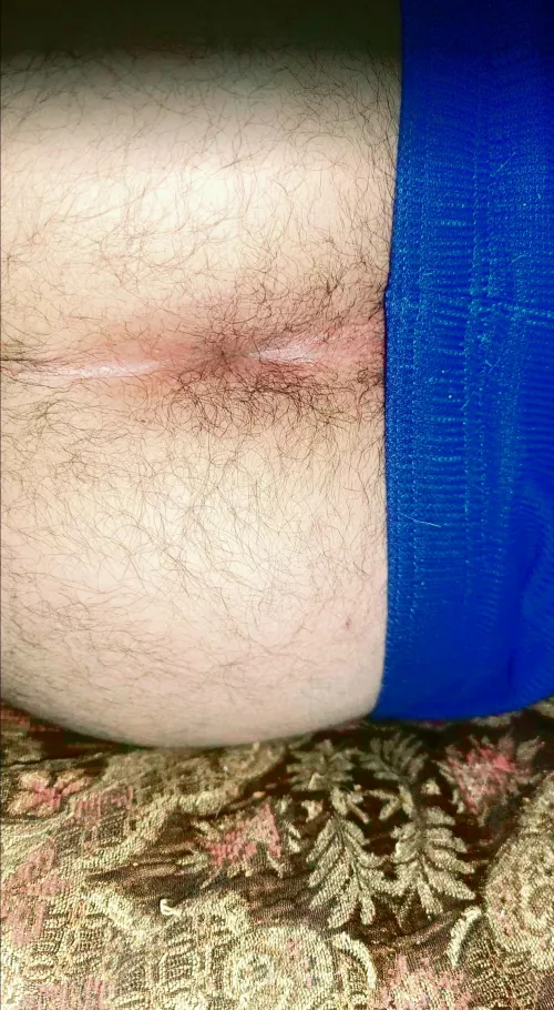 Lick my hairy butthole?