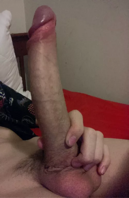 Tell me your first thought ;)