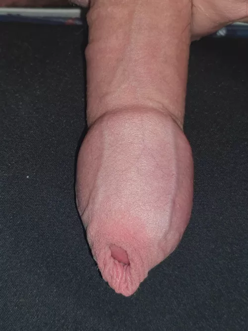 Who want to nibble on it...