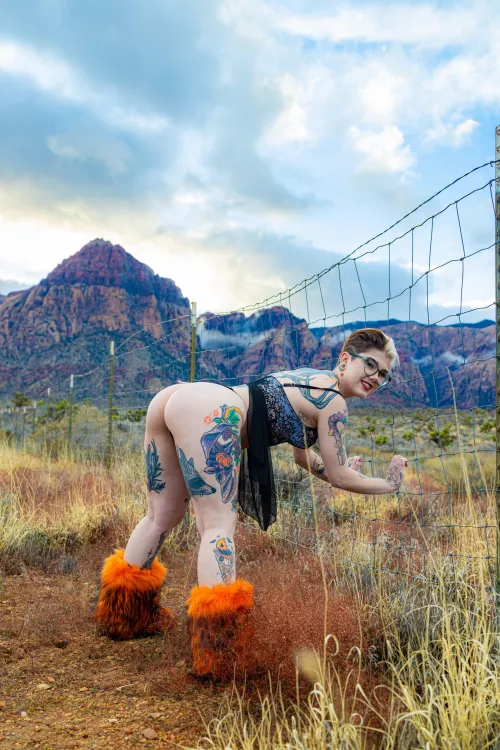 you guys sure seem to like me ✨