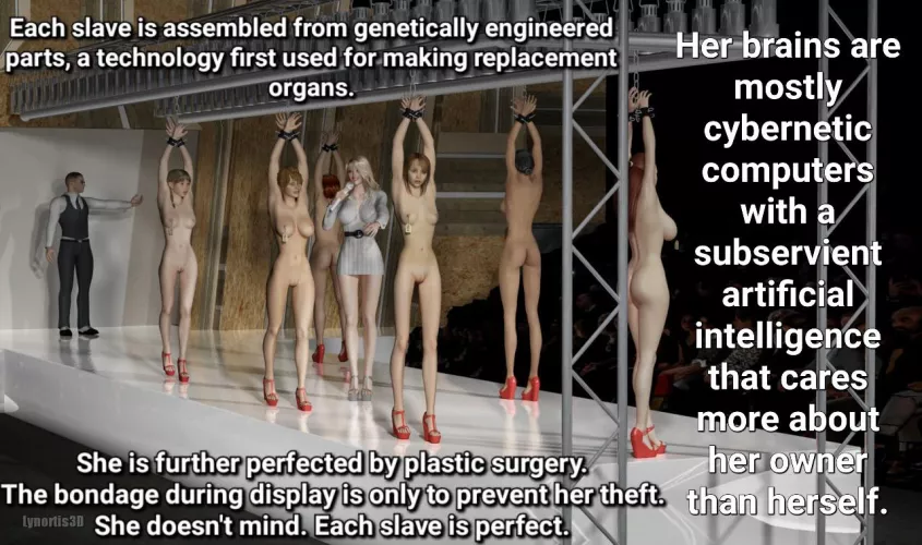 Each slave is perfect.