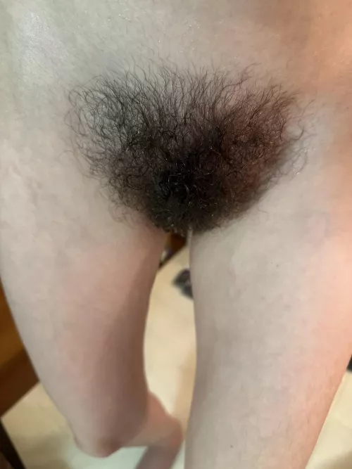 Here’s my wet hair