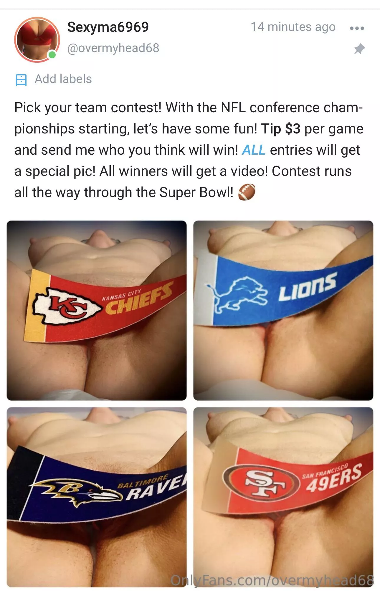 Hi! I run an X-rated NFL contest on my free page. HMU if you have questions or wanna play! What’s better than football and tiddies?? 🏈 (posted w/ mod approval)