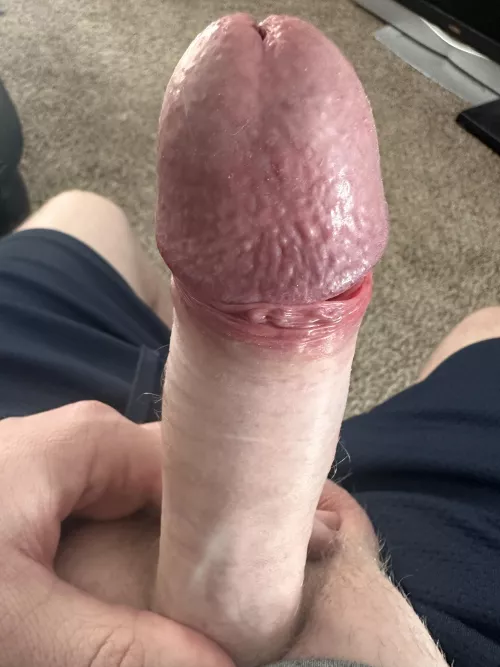 Mid Afternoon Rock Hard Boner