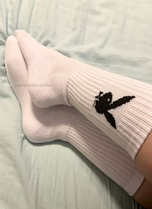 new playboy bunny socks!