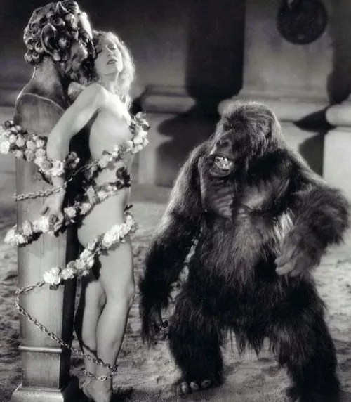 vintage monkey fun ( pre code?)