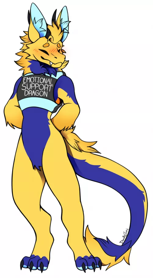 Another Service Derg has Arrived!! By Me