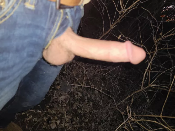 Does on the hiking trail count as public?