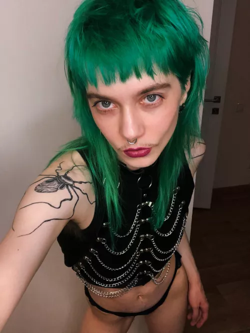 How do you like my new harness?