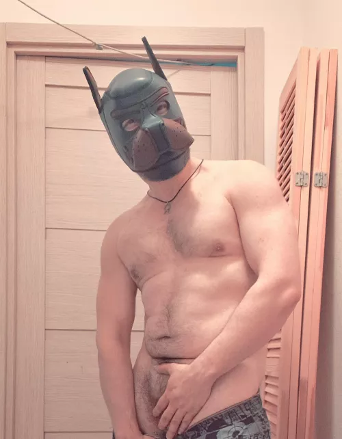 🌄 Morning, lads🐾