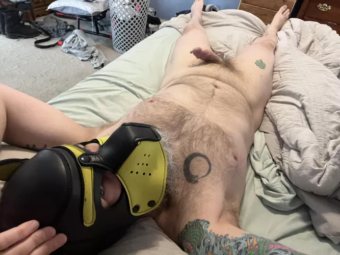 Pup is feeling naughty, who wants to join me?