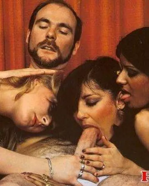 The Carpet Shaggers 2