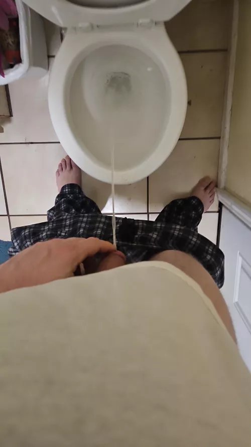 A little drunk wishing i was the toilet