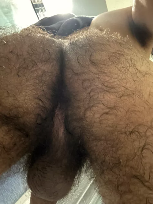 Am I too hairy? (19)
