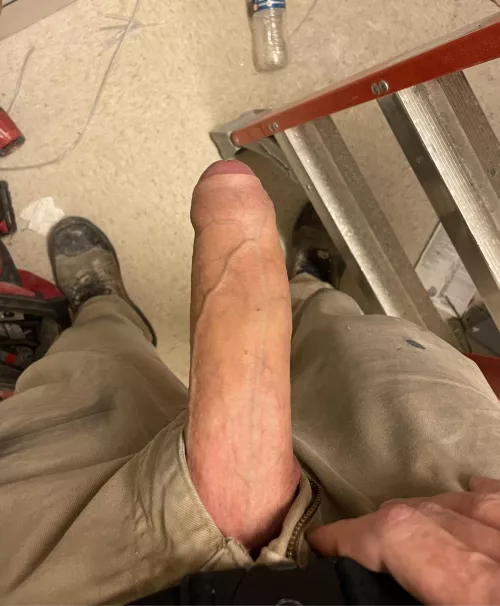 Do you like blue collar guys?