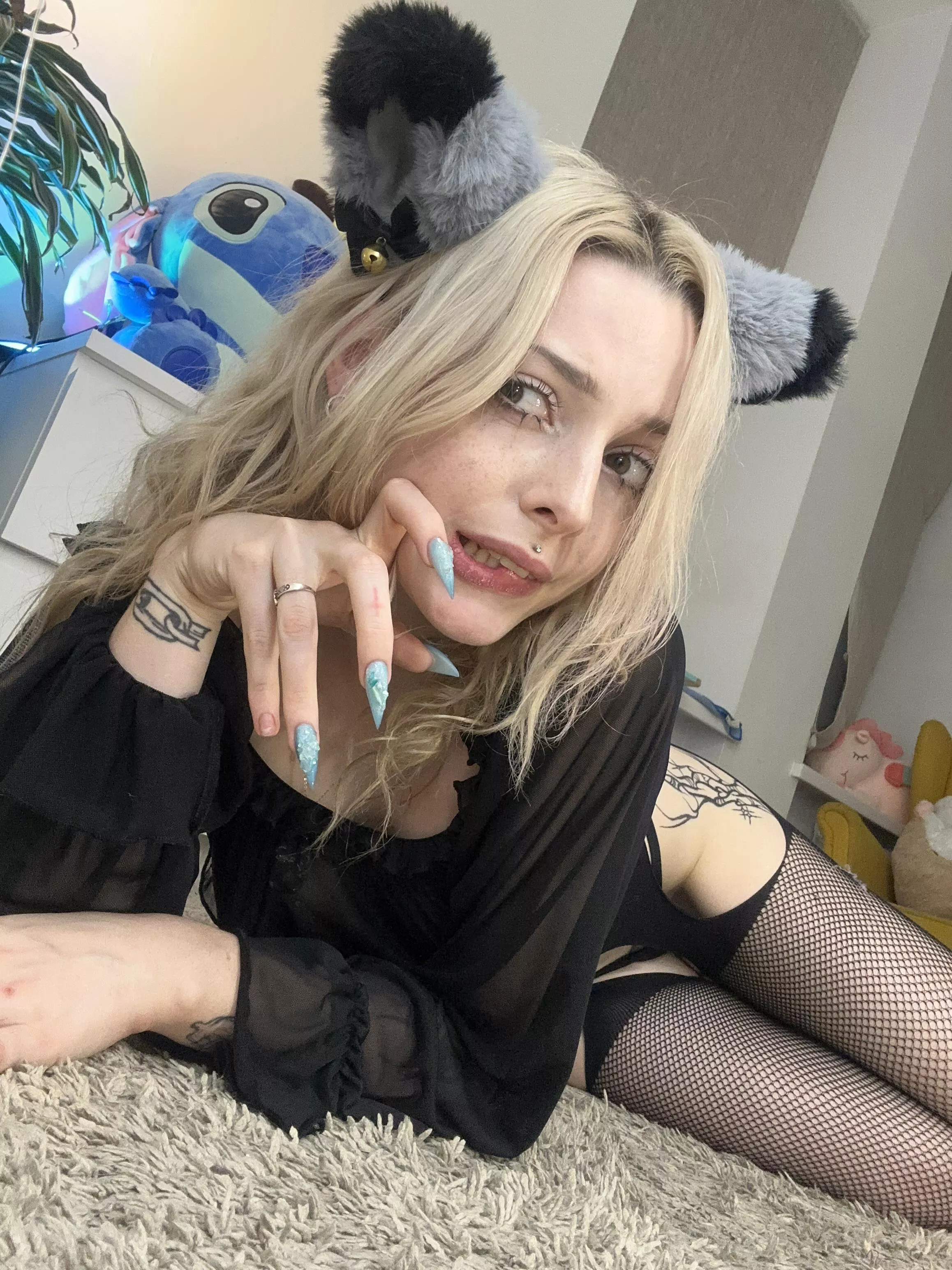 I am a kitten looking for an owner, do you want to be my owner?