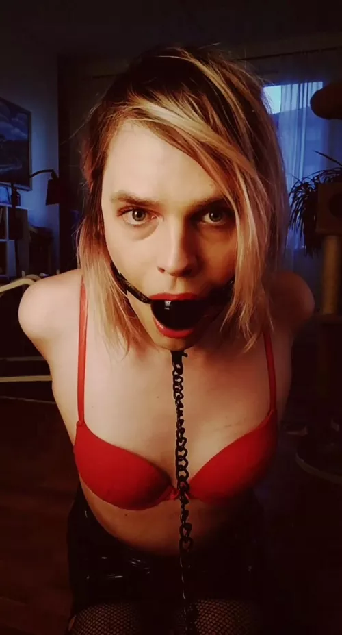 On my knees, on chain leash and gagged...