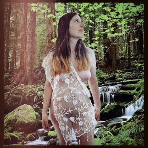 Soaking up the forest