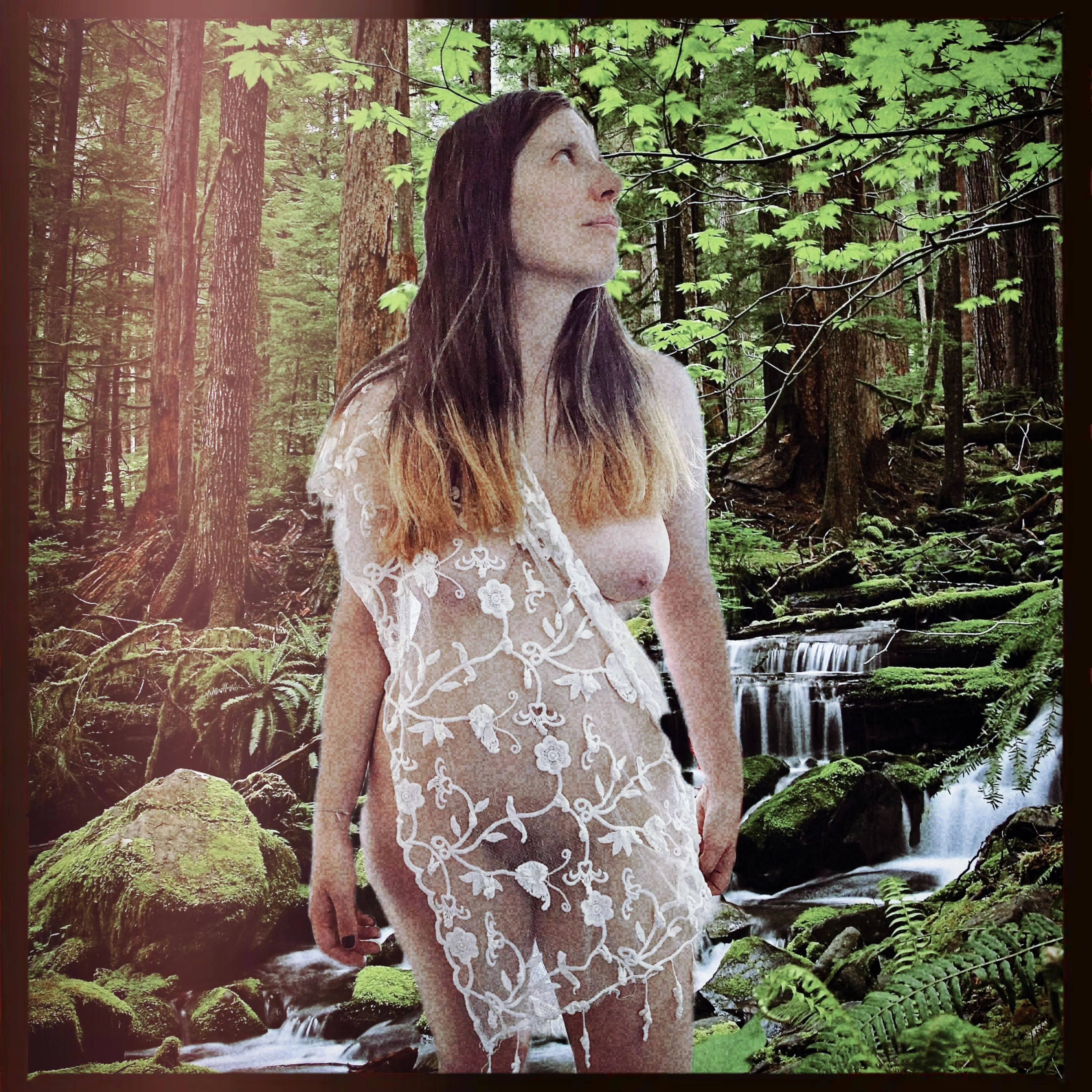 Soaking up the forest