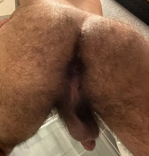 Hairy enough? (19)