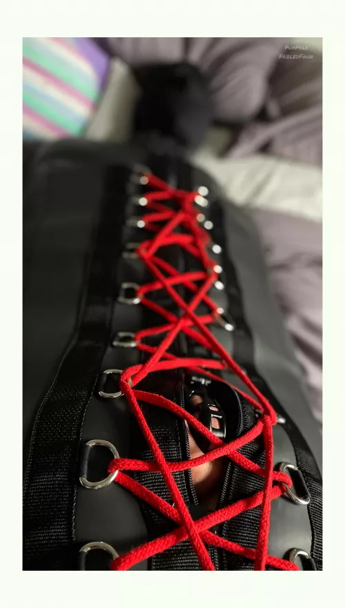 Bound in his sleep sack like a good toy 😌