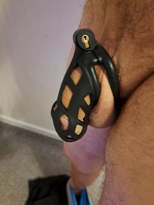 First time ever caged!