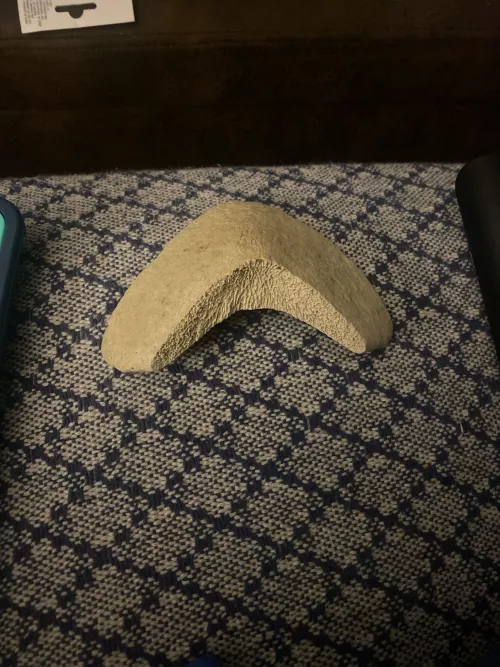 found this at the beach, any idea what it is?