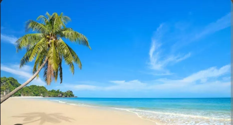 I love the beach... 💋👙🏖️