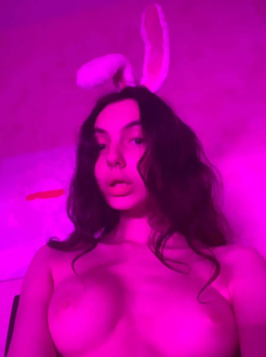 Neon bunny
