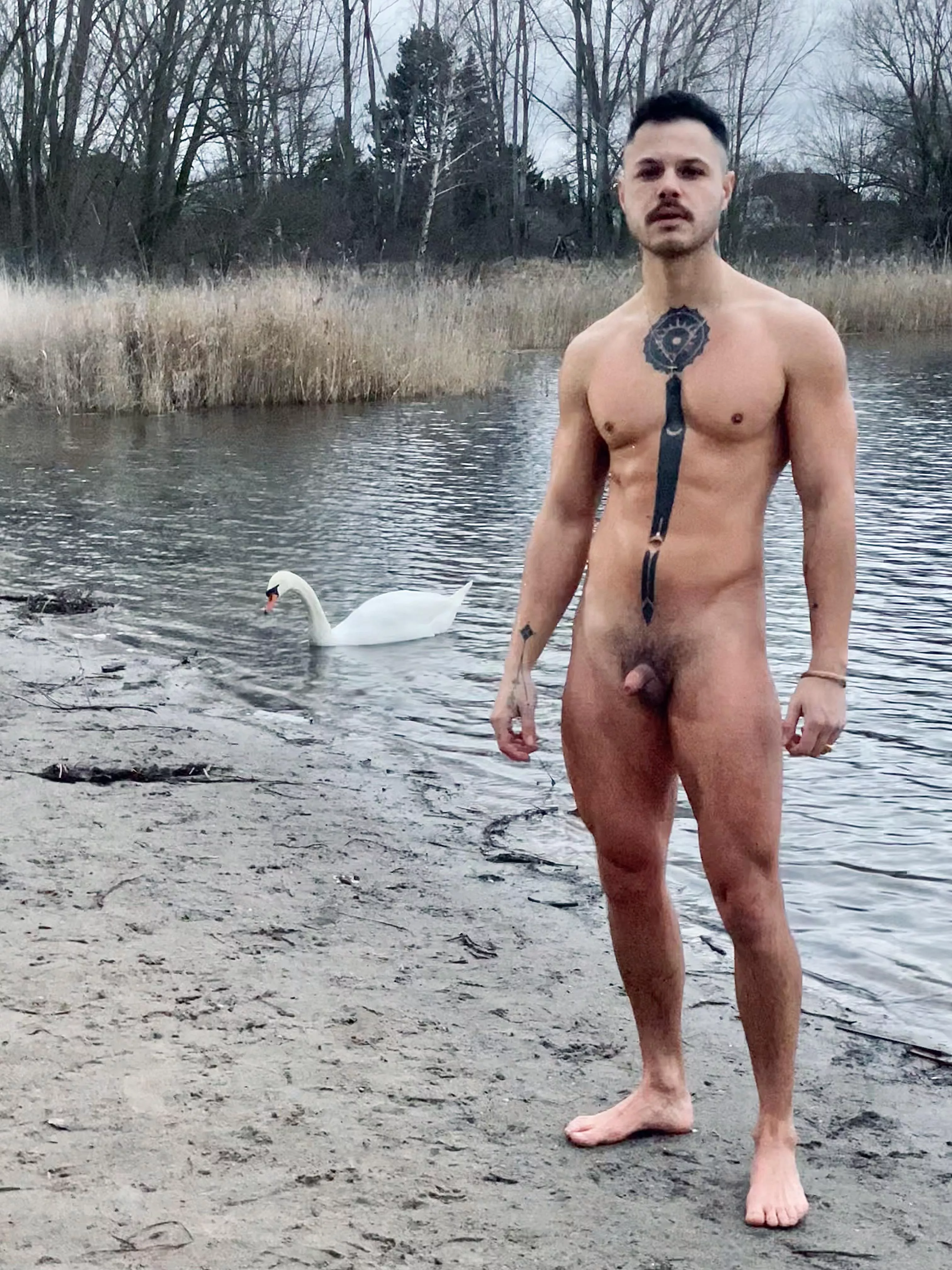 Only company was a swan