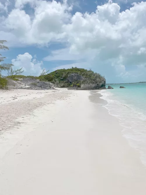 The Enchanting Path to My Secret Spot