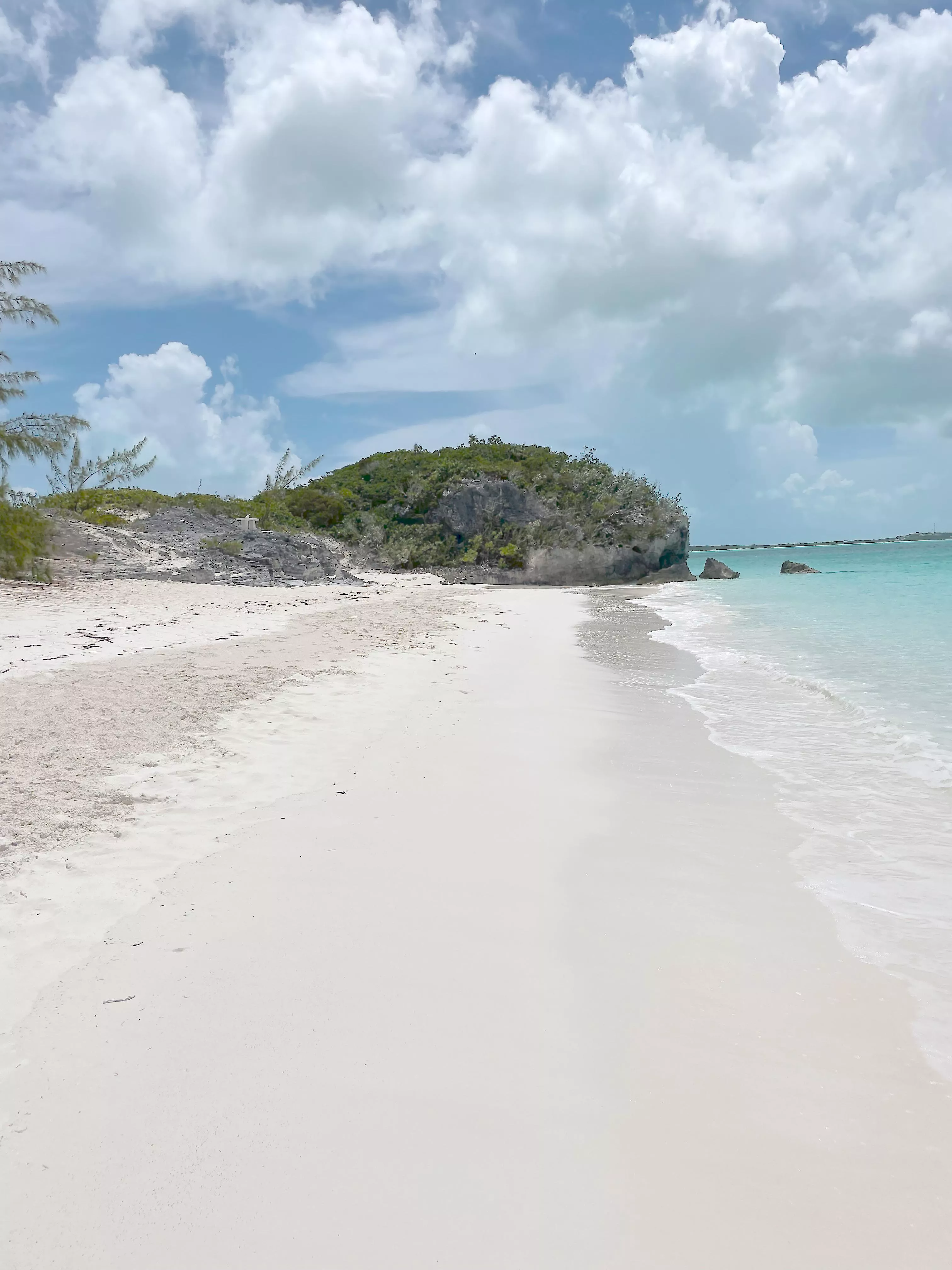 The Enchanting Path to My Secret Spot