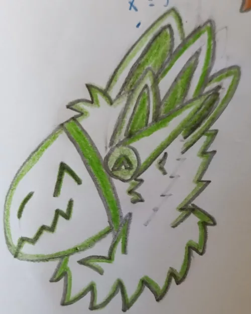 What do you do while having a free time in school? (By me)