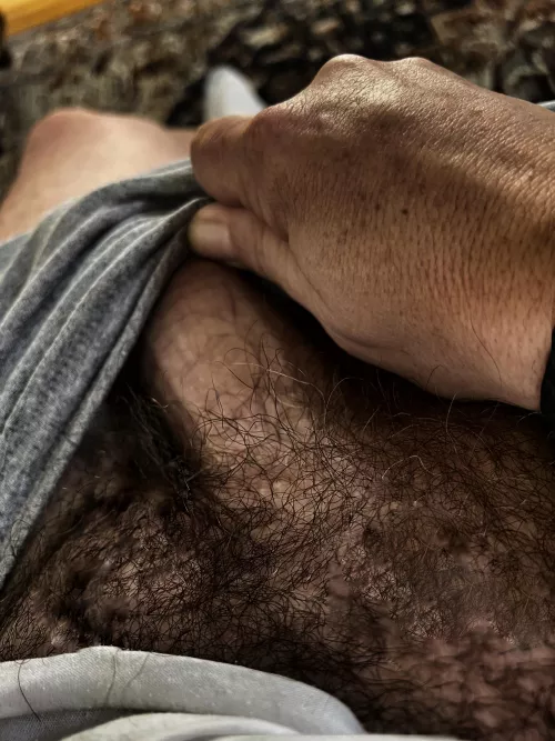 Bottom line: fat cocks look better hairy. IMO
