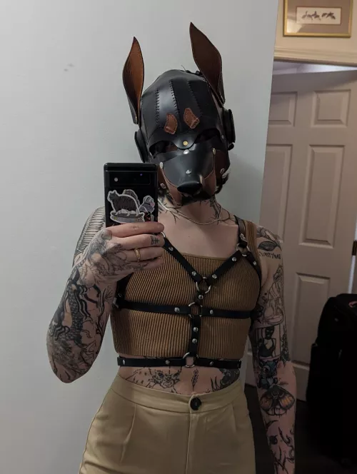 Business casual 🐶