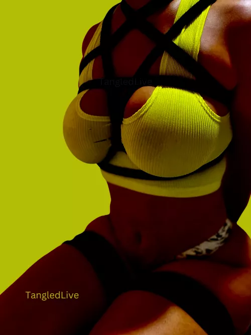 💛🖤 Frog Ties and a Pentagram Harness