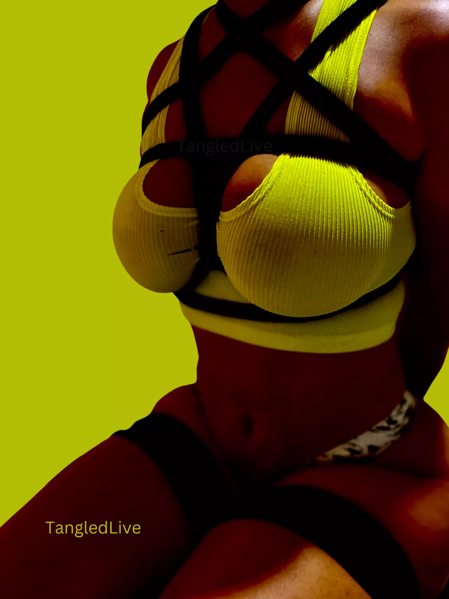 💛🖤 Frog Ties and a Pentagram Harness