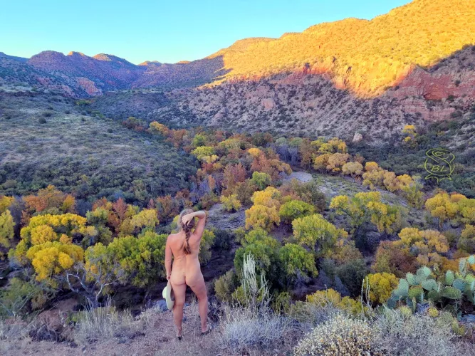 Looking back to Autumn in Arizona 🍂