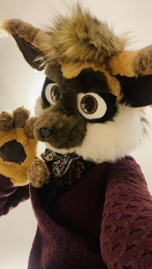 Looks like someone is late for Fursuit Friday!