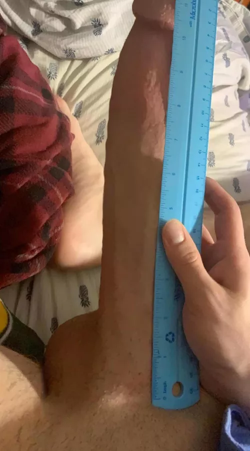 Nerds=Big cock right?