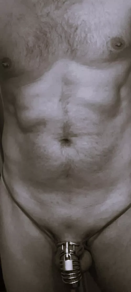 Showing off my caged pet! I am the proud owner of this slutty bunny! Would you F*ck her perfect hole while I watch? #orgasmdenial