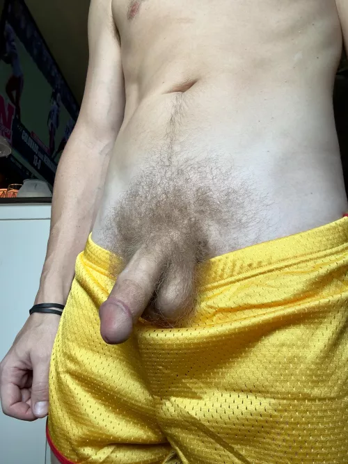 Who wants to put their face in this bush?