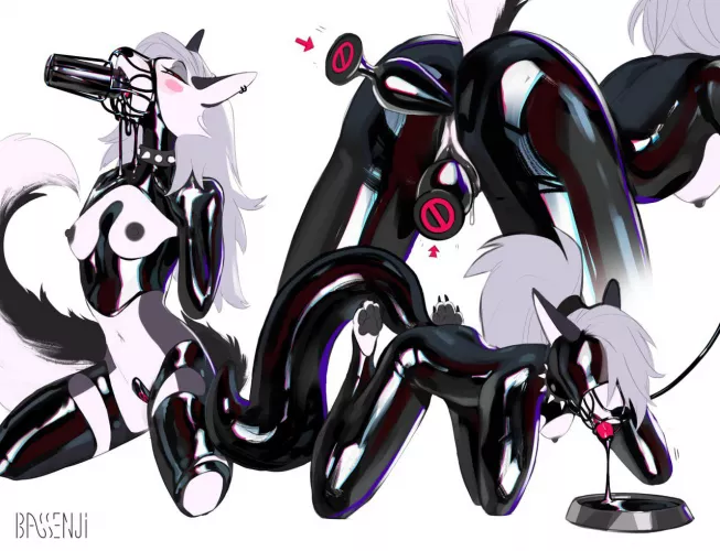 (F) Loona in Latex (bassenji)