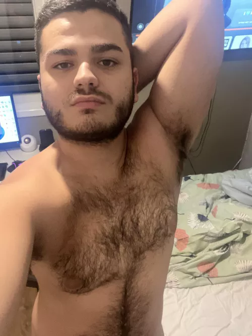 My arab hairy chest…do you like it?