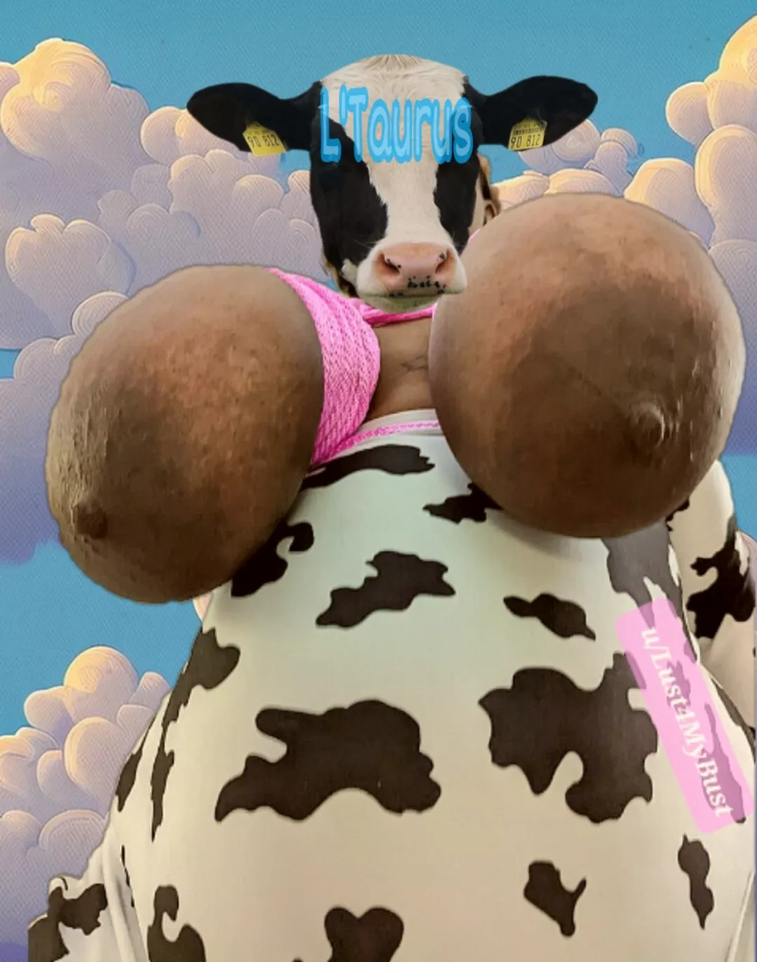 Taut udders & needy teats