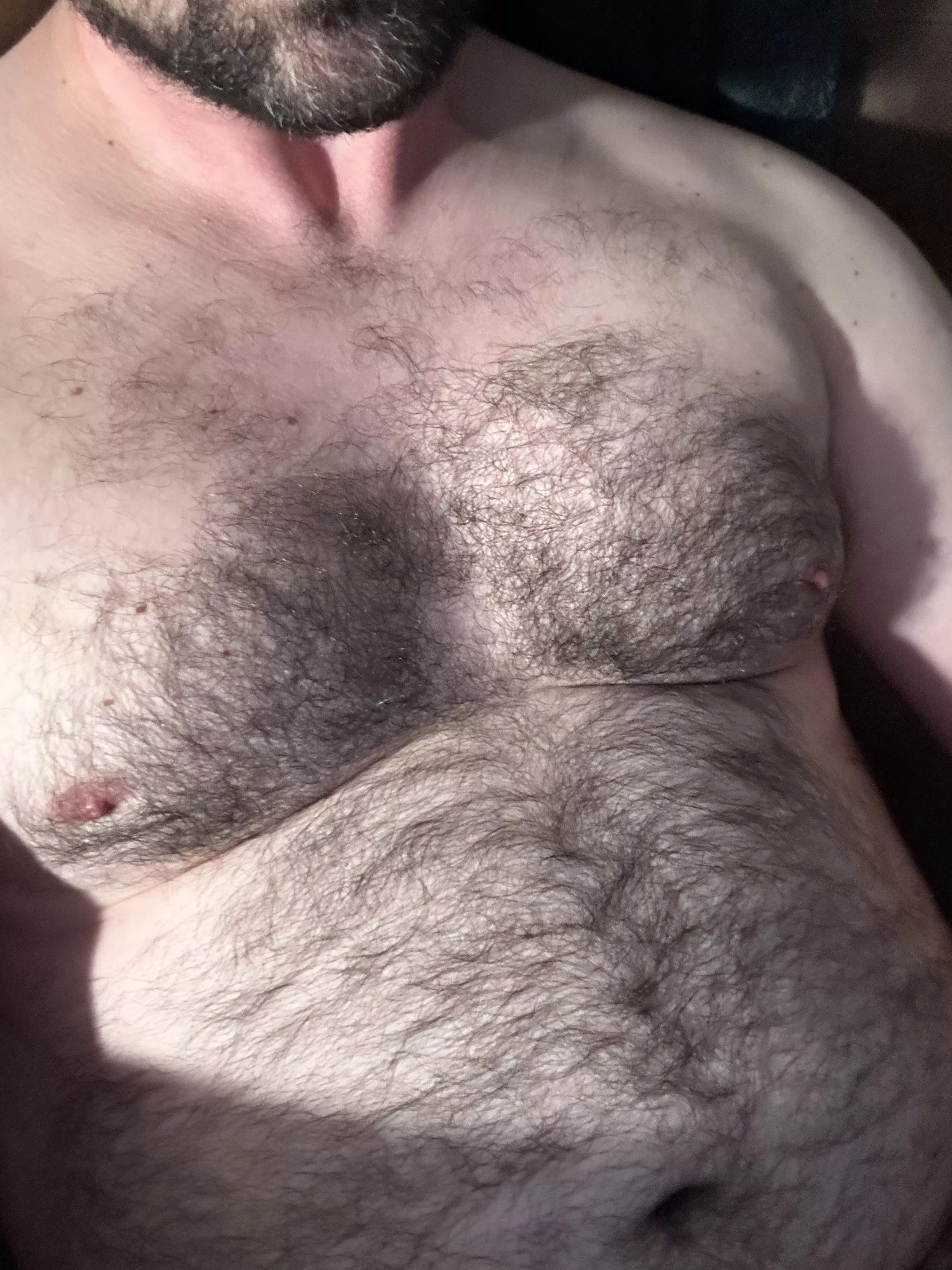 Who needs some thick fur tonight?