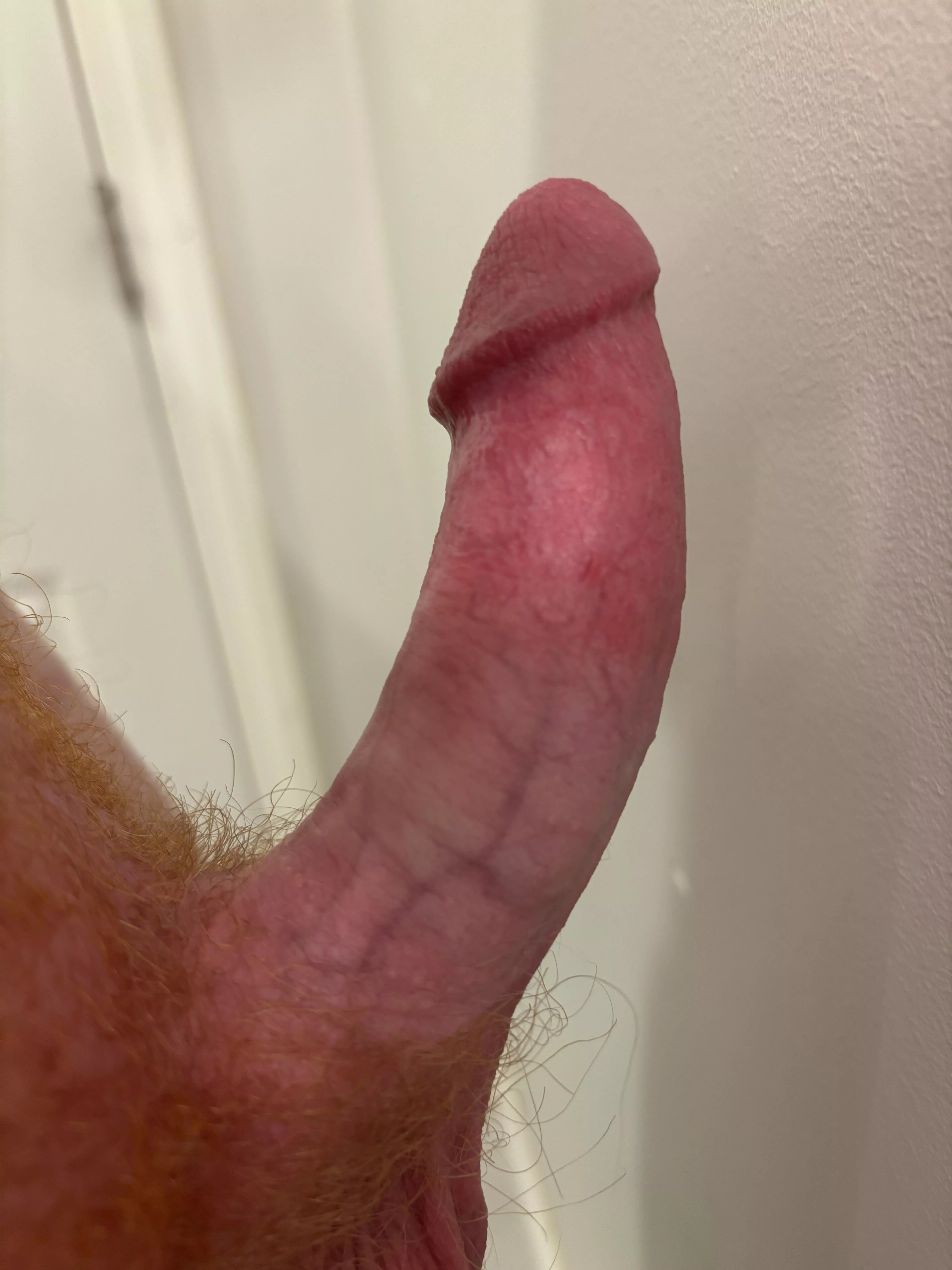 Would you take my cock? (18)