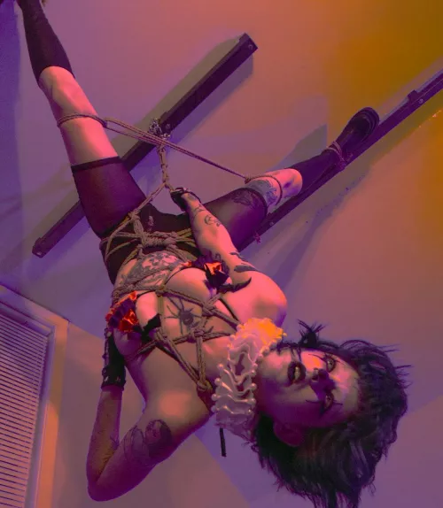 been really enjoying my shibari journey! looking forward to doing more