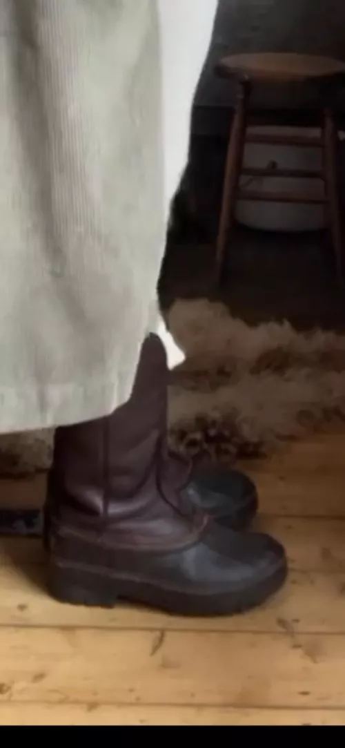 Can anyone ID these?