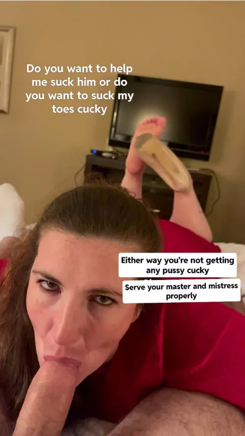 Serve your master and mistress like a good boi